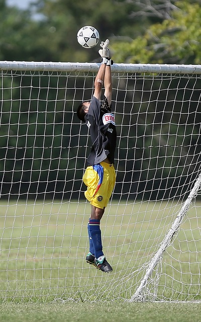 而如今他们 而如今他们