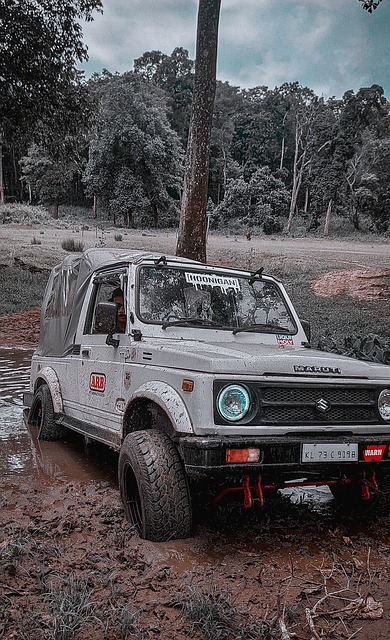 满潜力的球 满潜力的球