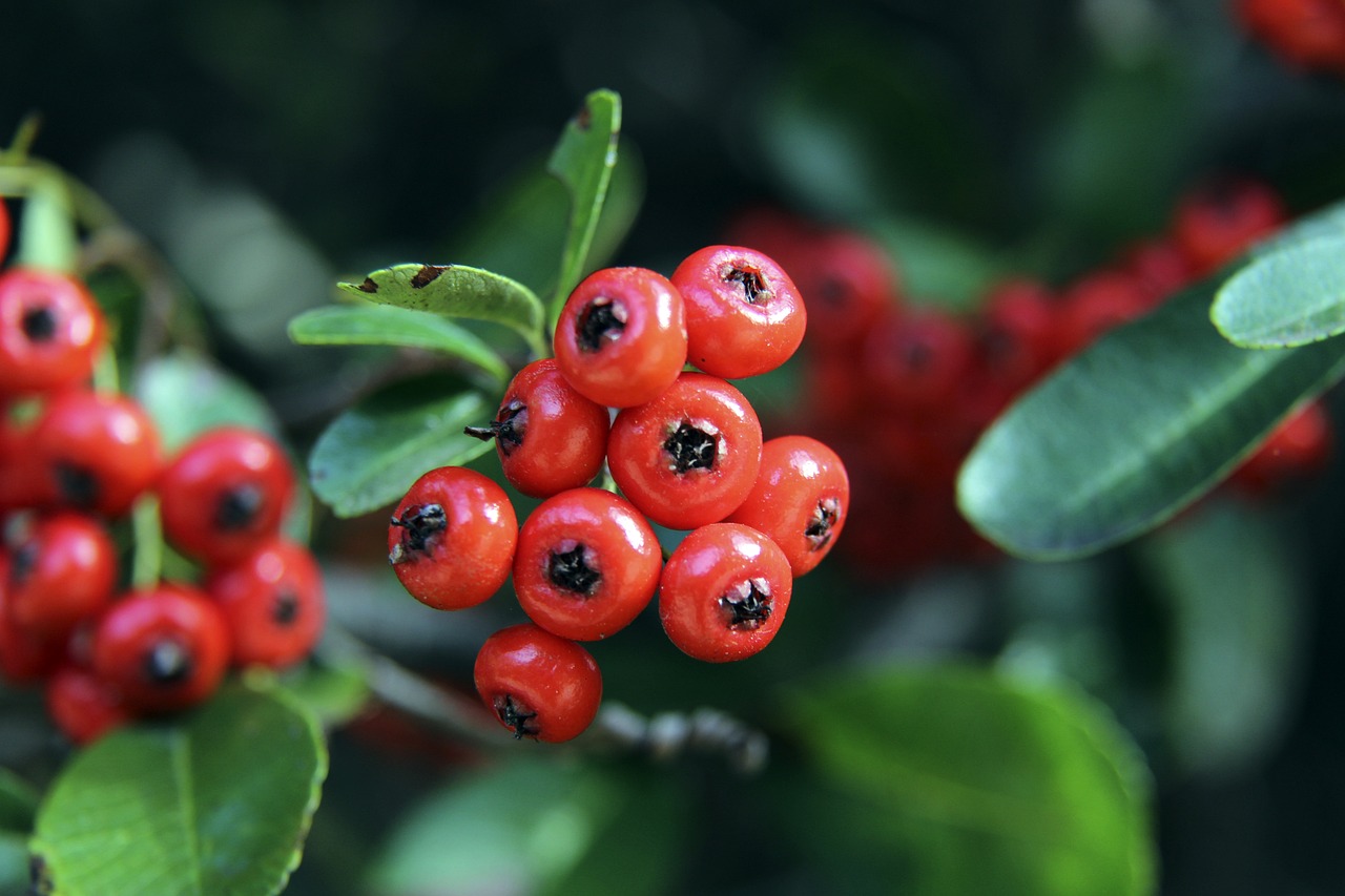 变化的重要 变化的重要