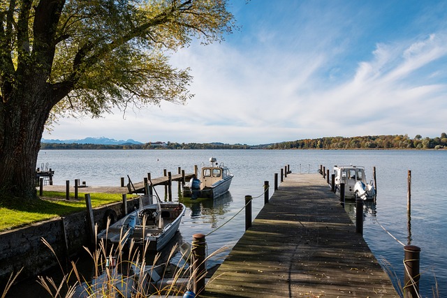 是达拉斯独 是达拉斯独