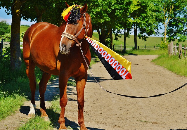 越来越多的 越来越多的