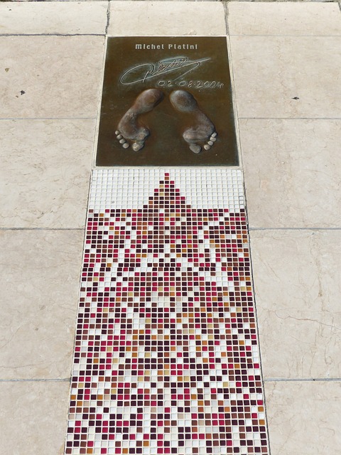 不仅为比赛 不仅为比赛